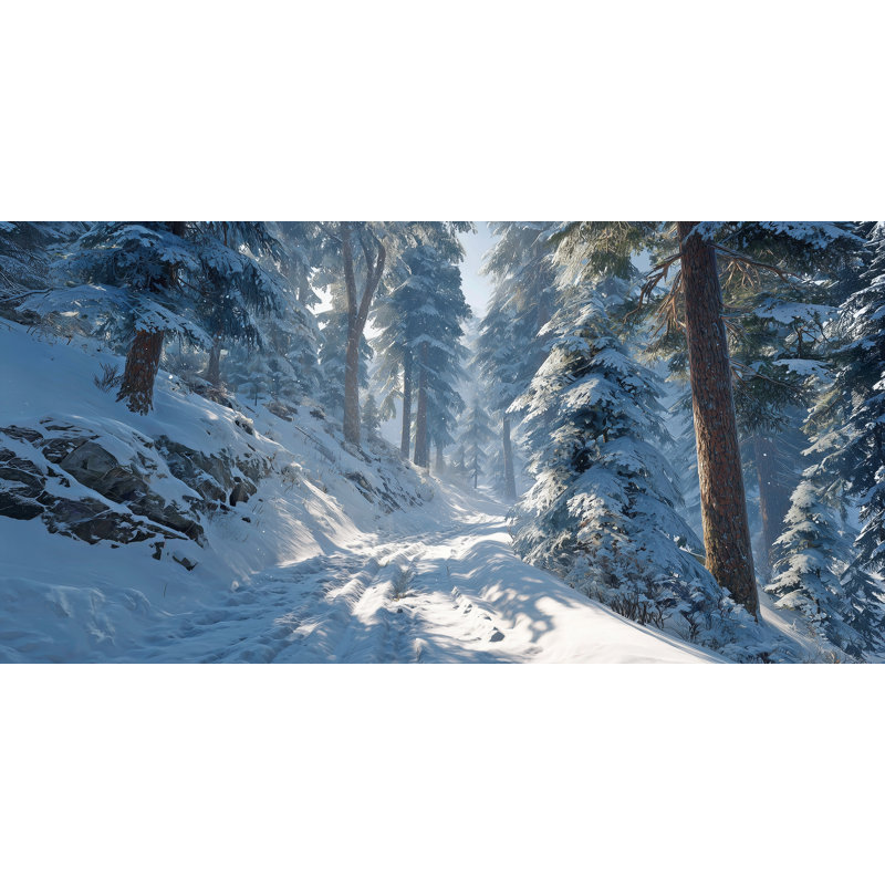 «Winter Pathway Tranquility», art mural sur toile tendue, H 24 po x l 48 po