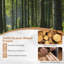 Ensemble bistro 3 pièces pliant en bois d'acacia avec coussins-289927916