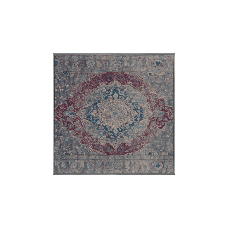 Machine Washable Gray Area Rug, Square 5'