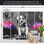 Papier peint animalier - Chien dj-1200497159