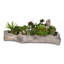 Faux Succulent Plant in Cement Pot