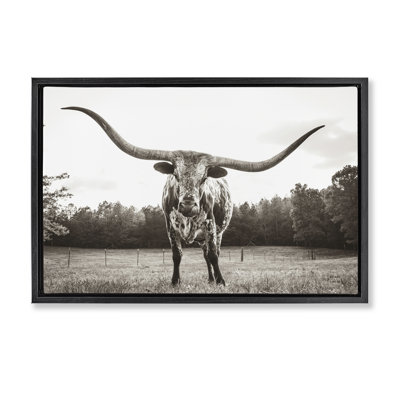  Longhorn Licking Lips Floater Canvas by Nathan Larson