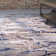 Floreat Abstract Indoor Rug