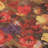 Chayden Indoor/Outdoor Chantille ACN992 Gold Area Rug-109609661