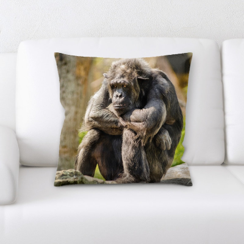 Coussin chimpanzé