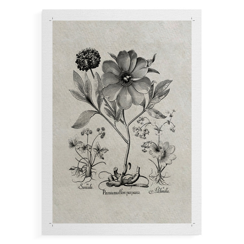 Motif floral rétro vintage CCCVXVII - reproduction de toile seulement - non encadrée, H 27 po x l 18 po
