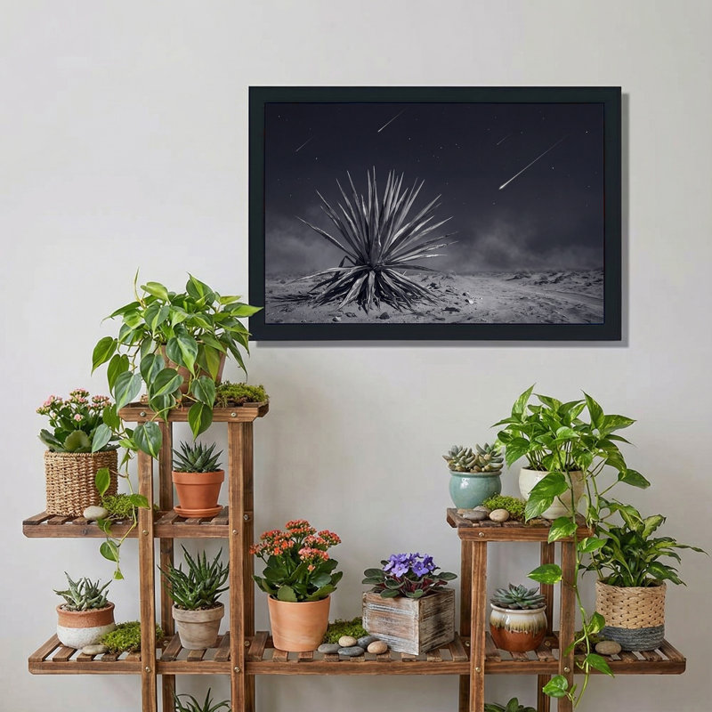 Tableau sur toile représentant une plante d'agave noire et blanche sous des étoiles filantes, 16"H x 24"W