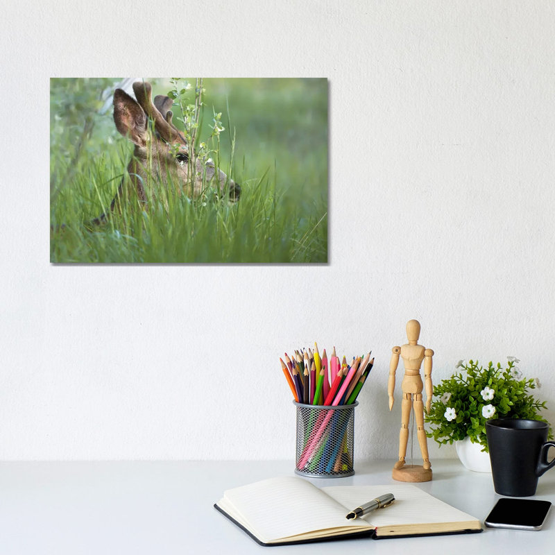 Bedding Down by Louis Ruth - Wrapped Canvas Print, 20.32 cm H x 30.48 cm W