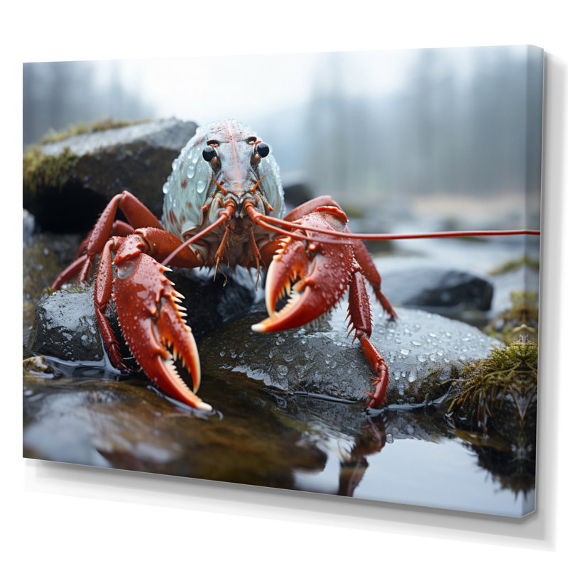 Écrevisse, photographie de paysage monochrome II, H 12 po x l 20 po x P 1 po, Toile tendue