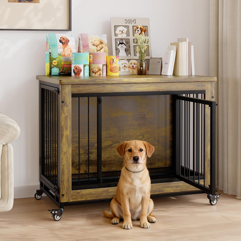 Dog House