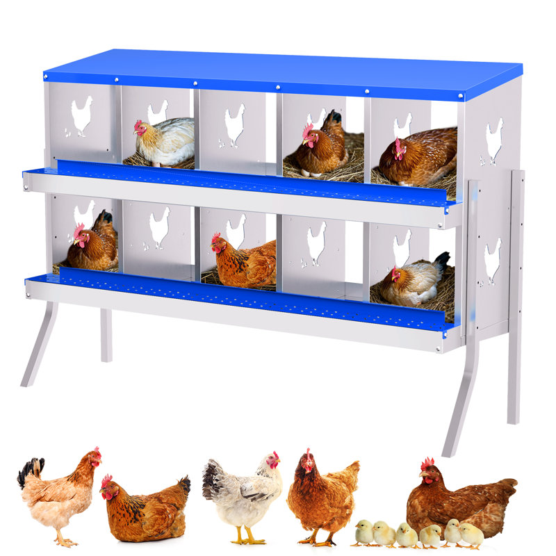 Boîte de nidification robuste pour poulets avec ventilation, 10 compartiments, boîte de pondération ergonomique pour poules, canards et petites volailles
