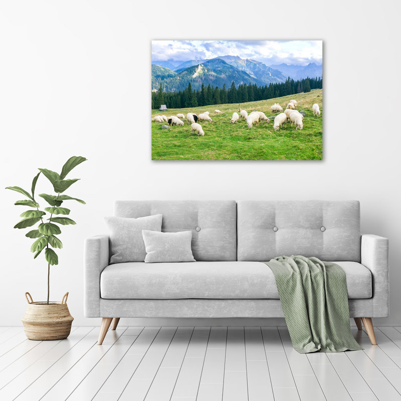 Sheep In The Tatras - Unframed Art Prints on Glass