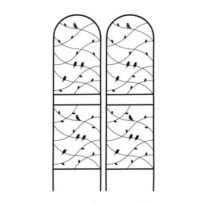 2 Pack Metal Garden Trellis Rustproof Trellis For Climbing Plants Outdoor Flower Support