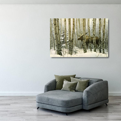 A Walk in the Woods