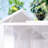 Greenhouse