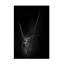 Art sur toile «ologic boli gerec »-109320961