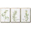 Fresh Sprig Persil, ensemble de 3 pièces encadrées sur toile-97795314-97795307