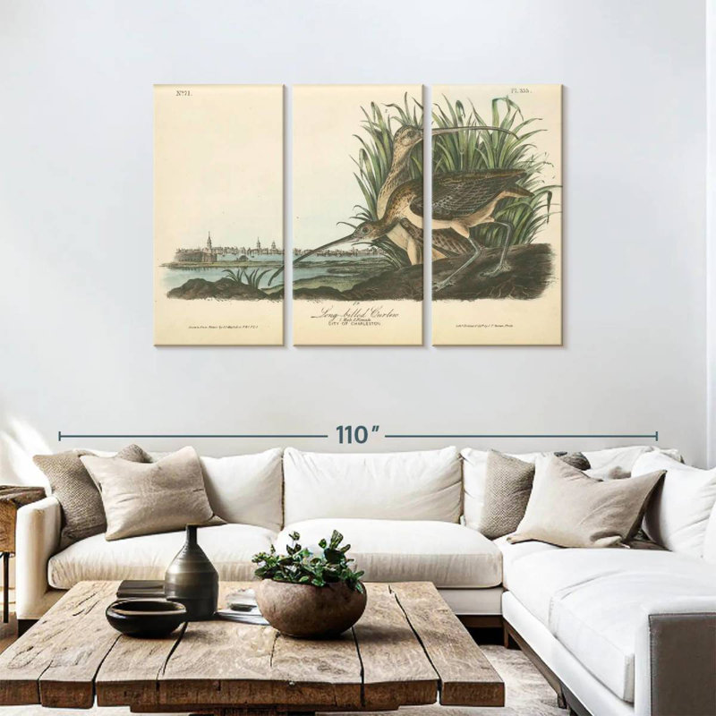 Brampt Long-Billed Curlew, 48" H x 74" W