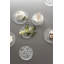 Ensemble de sous-verres ronds 2 pièces Carat