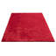 Taurasi 140cm X 200cm Area Rug