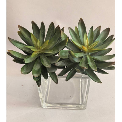 ECHEVERIA PU, LOT X2
