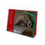 Christmas Decorative Accent-102835770