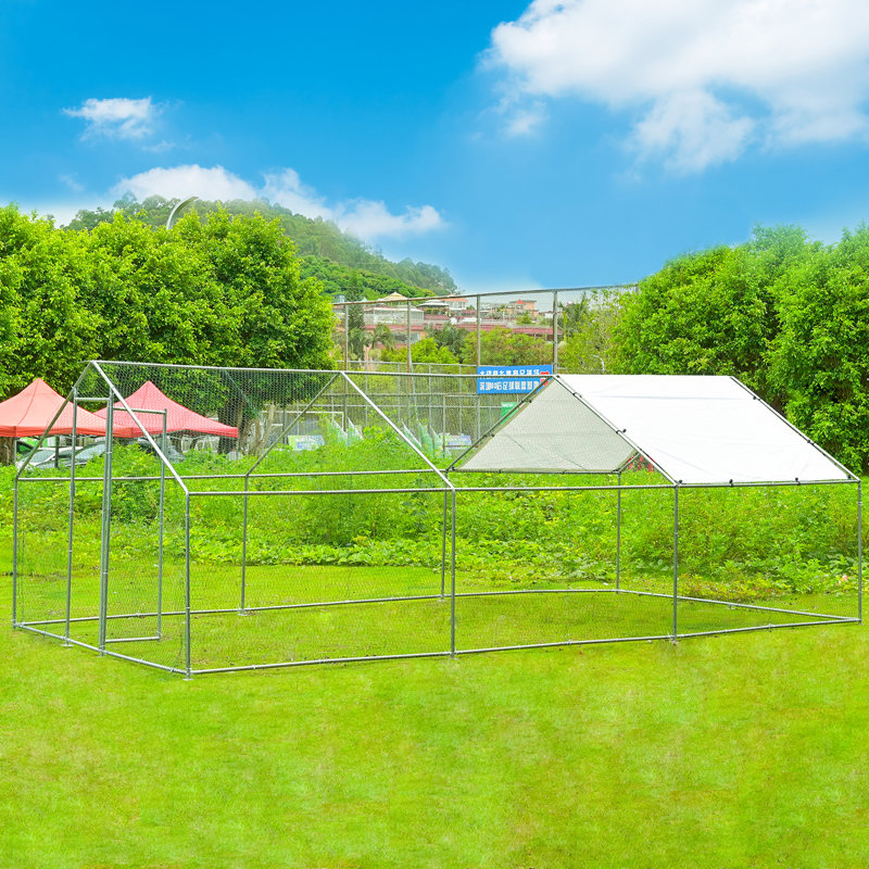 Parc à poules Dannish, H 78,74 po x l 118,11 po x P 236,22 po