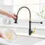 Robinet de cuisine avec douchette extractible-97011234