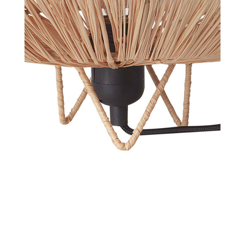 Anegla Iron Novelty Lamp