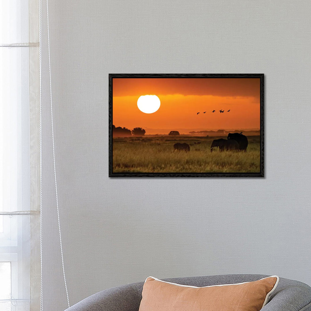 African Elephants Walking At Golden Sunrise II von Susan Richey - Galerie-verpackte Leinwand Giclée auf Leinwand