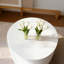 Table basse ronde blanche avec rangement caché