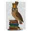 Art sur toile tendue Trinx Fab Funky Gallery, «Owl On»-974795828