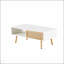 Table basse en rotin tissé avec rangement à porte coulissante et pieds en bois massif pour une vie moderne