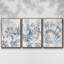«Beach Shell Fresco I», ensemble de 3 reproductions de photos sur toile-97757476-97757478