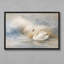 Impression sur toile élégante, cygne blanc, eau calme, rêve de ciel-1590648451-1590648450