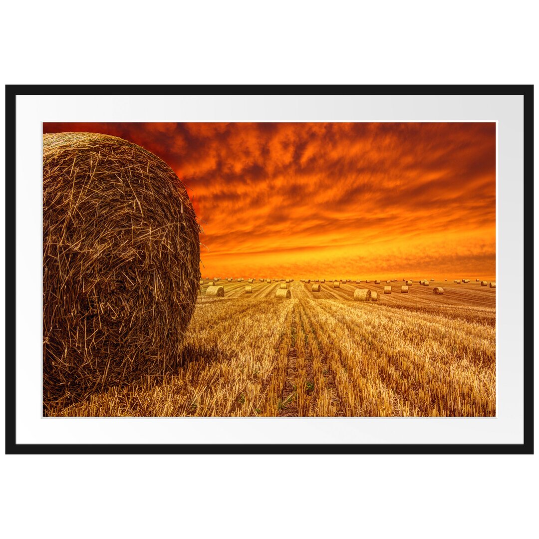 Gerahmtes Poster Feld im Sonnenuntergang