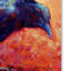 'Crow 12' Print on Wrapped Canvas-22074131