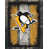 Pittsburgh Penguins