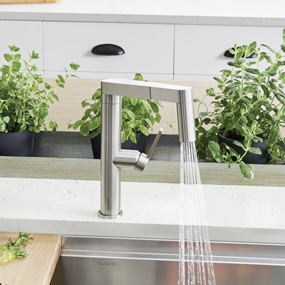 Panera Pull Out Kitchen Faucet