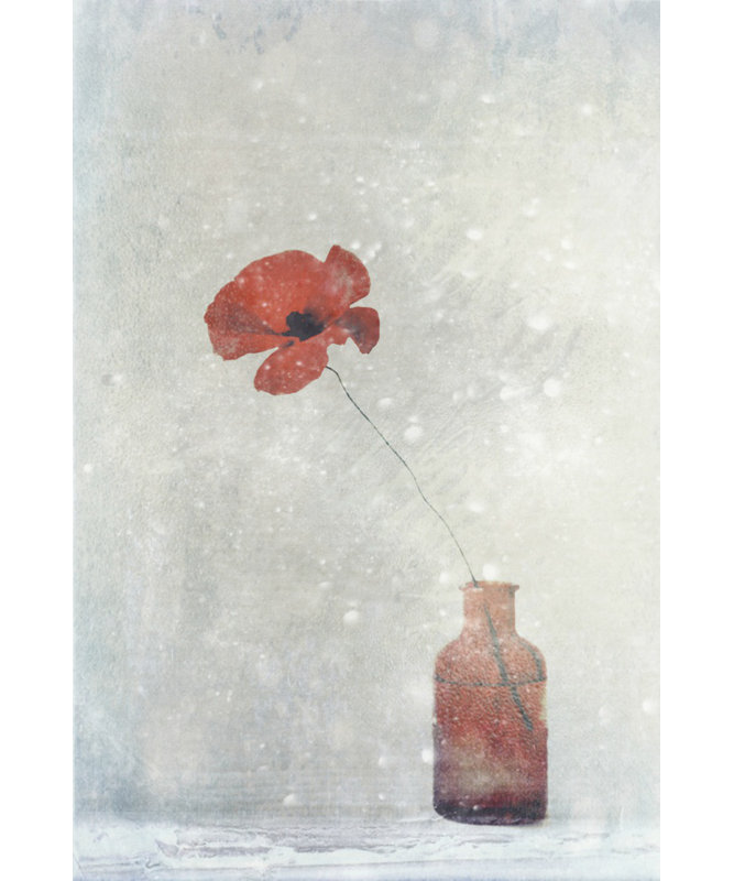 Wrapped Canvas Print, 81.28 cm H x 121.92 cm W