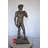 Adrushan David Statue
