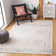Dempsey Performance Southwestern Rug