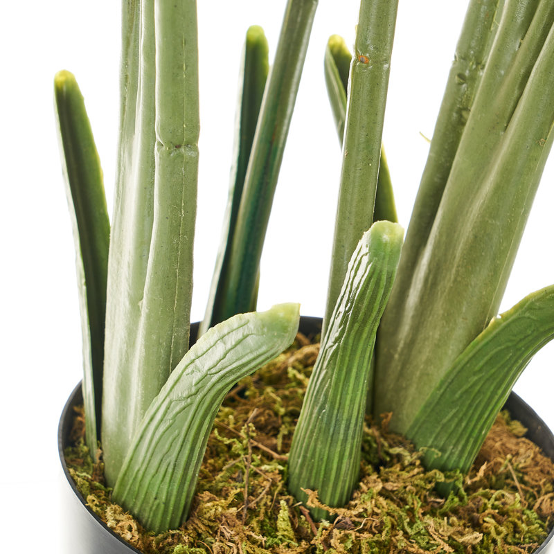 Faux Dictyosperma Tree in Pot, 114cm H x 45cm W x 45cm D