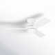 Rivers 3 Blade Ceiling Fan with LED Light Kit