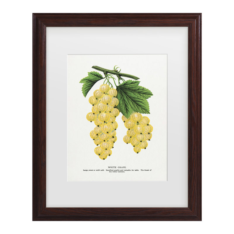 Œuvre botanique sur pied, épreuve botanique deologia, H 22,75 po x l 18,75 po