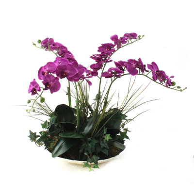 Centre de table orchidée dans un bol décoratif