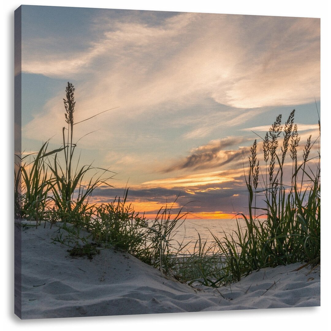 Leinwandbild Wildes Gras am Strand