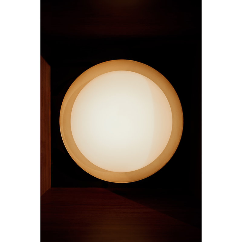Bond Sconce Single