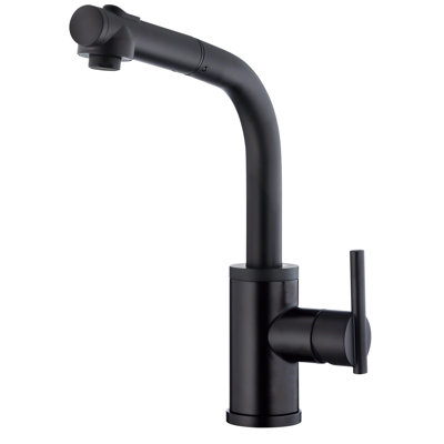 Parma Pull Out Single Handle Kitchen Faucet