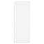 Deodhar Bathroom Cabinet-1206975094